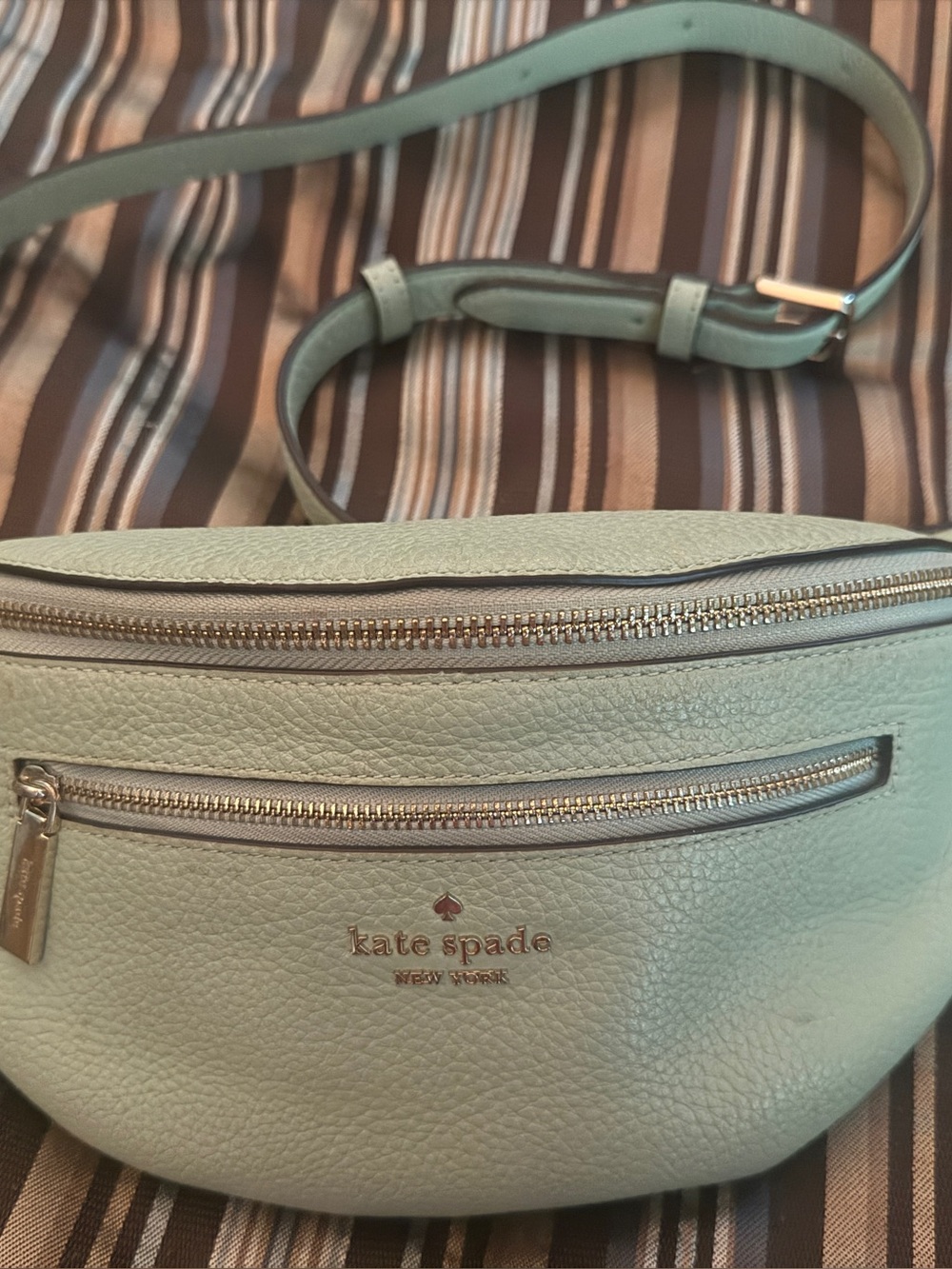 kate spade Mint Leather Crossbody Belt Bag with Gold Hardware